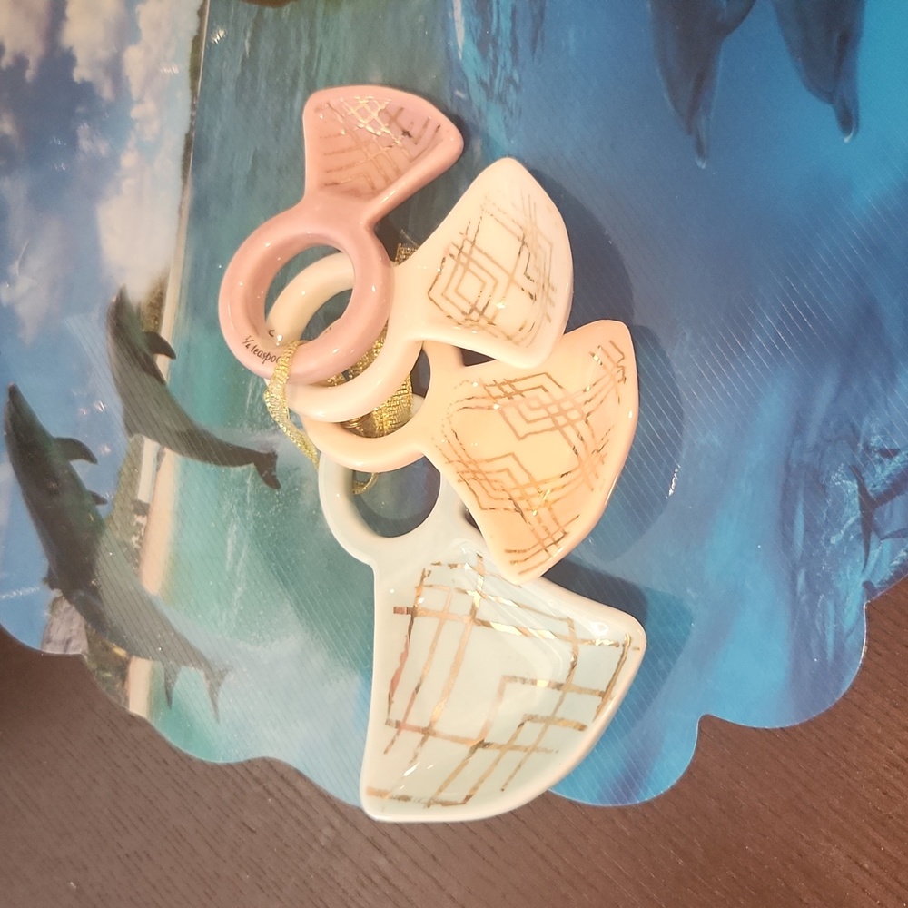 Ceramic ring measuring spoons